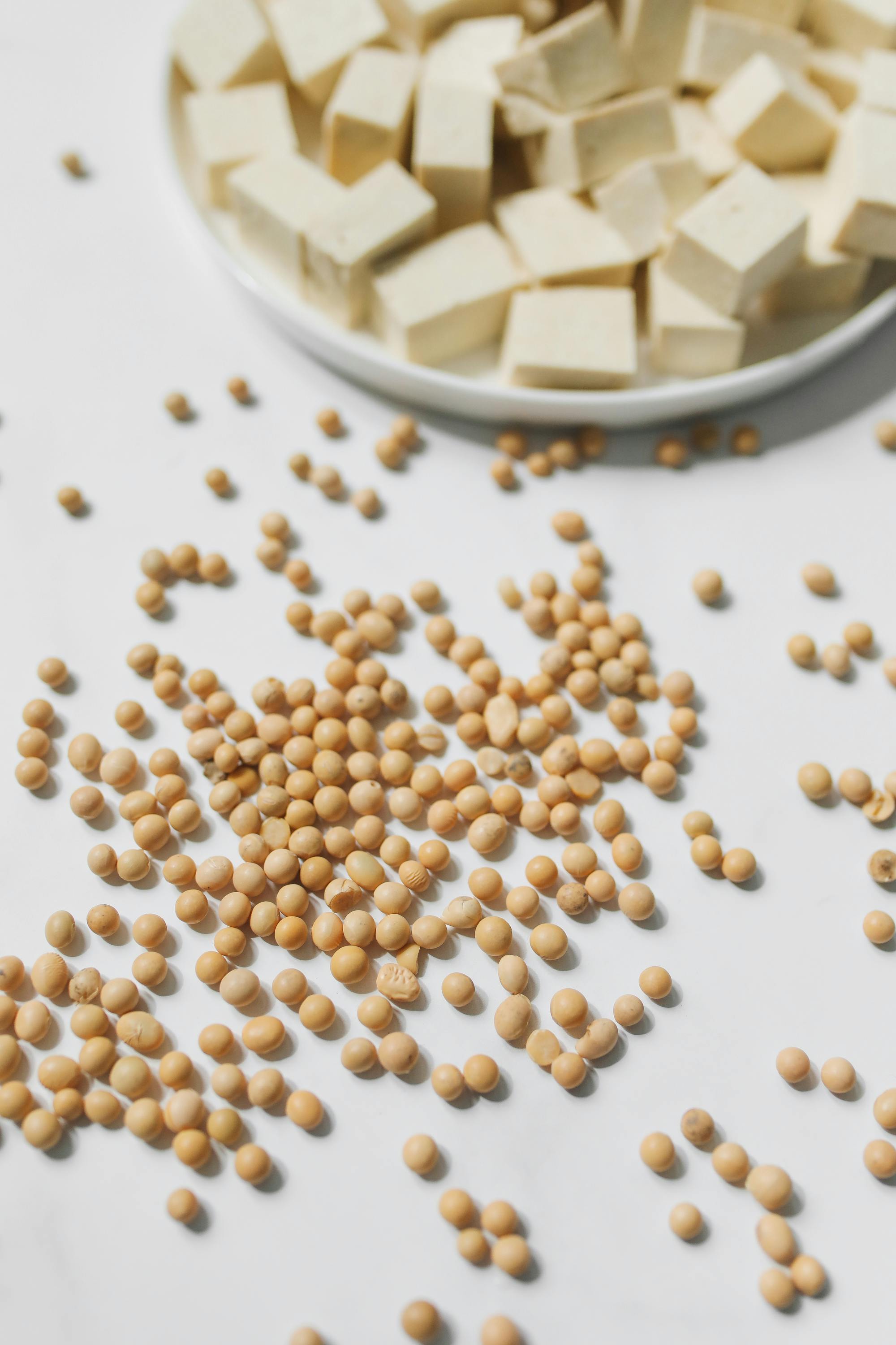 Best 5 Probiotics for Weight Loss in Women: Improve Digestion & Balance