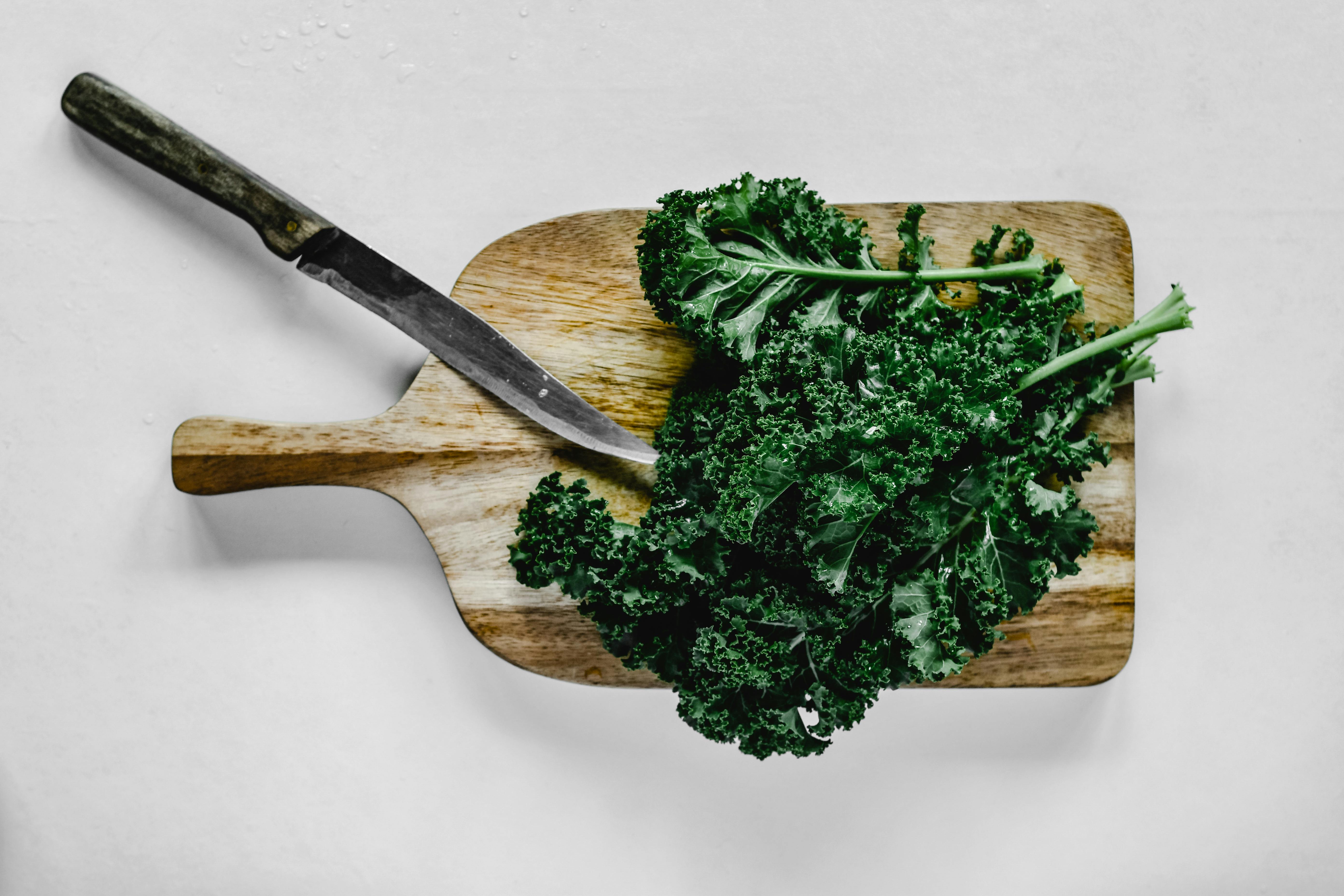 Best 5 Gummies for Weight Loss in 2025: Explore Natural Options