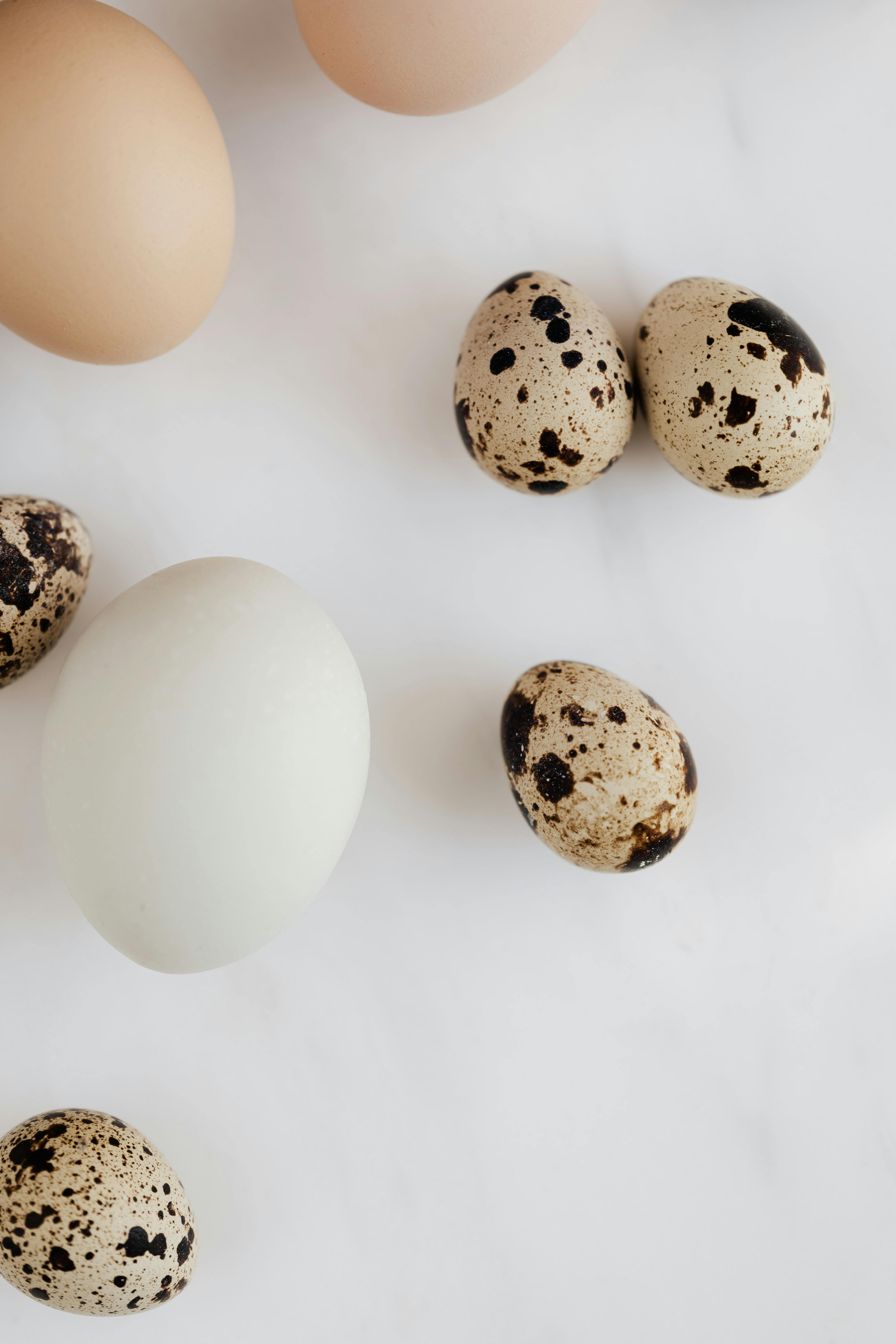 Effective Ways to Succeed with Keto Flourless Chocolate Cake in 2025