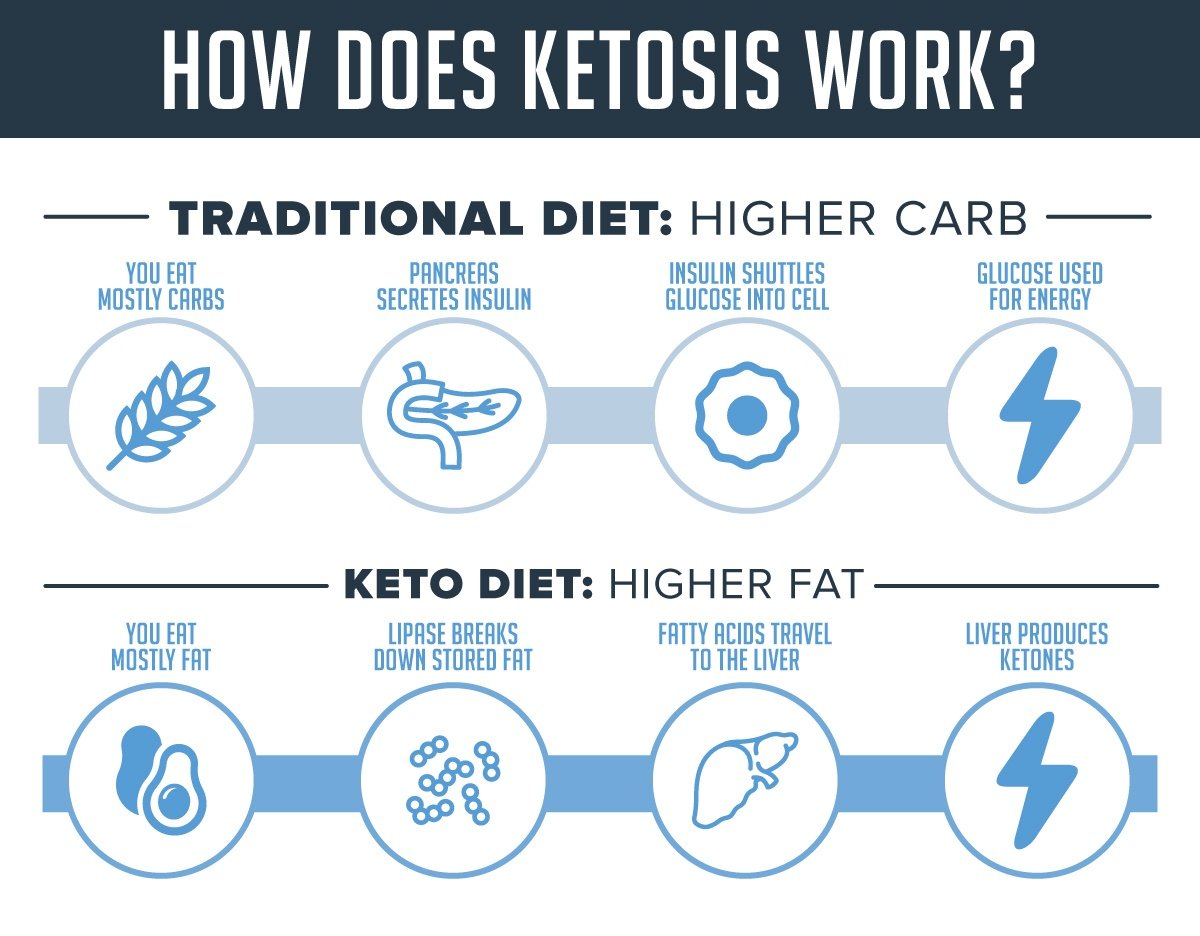 Ketogenesis Journey